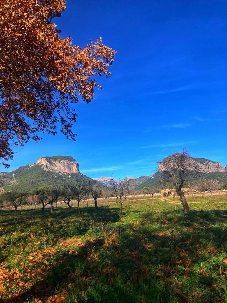 Villa Son Ribes Alaró Exterior foto